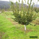 일근농장 이미지