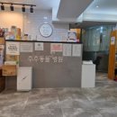 주주동물종합병원 네이버블로그