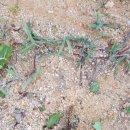 너래농원 이미지