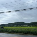 장군순대국 이미지