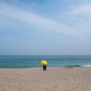 경포인공폭포 앞 이미지