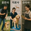 전북대학교 수의방역대학원 | 반려동물 전문가 되는법? 훈련사·치료사·관리사 완벽가이드