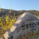 비엔비치킨떡볶이