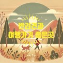 꽃길 걷는 도그 | 반려동물과 함께 가기 좋은 국내 여행지 추천 | 반려견과 행복한 힐링여행