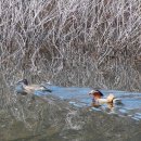 구봉축산 이미지