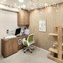 24시 서초바른동물병원 이미지