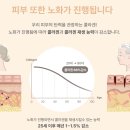 더바디쉼의원 이미지