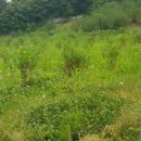 굿마루농장 이미지