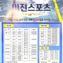 미진스포츠