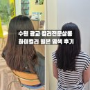수원 광교 염색 하이컬러 컬러전문살롱 현 컬러리스트 후기