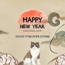 랙돌캐터리 아이돌스 전주고양이분양 이미지