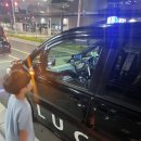 네스트렌트카 이미지