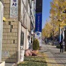 성산구스킨케어추천 창원피부관리 &lt;엘뤼프 창원지사&gt;