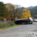 김삿갓면-39 머니투데이
