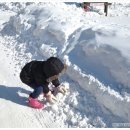 현이목장 이미지