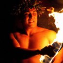 파라다이스 코브 이미지