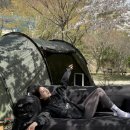 농어바위캠핑장 | 벚꽃캠핑 명당 추천 농어바위캠핑장