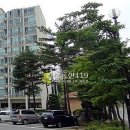 용구대로 2753번길 이미지