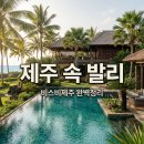 펜션테마여행 | 비스비제주 앤 팜빌리지 서귀포 오션뷰 가족펜션 가성비 후기 추천