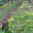 삼포농장 이미지