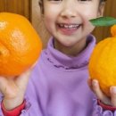 진수농장 이미지