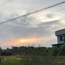 복자상회 네이버블로그