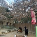 뿌빠노래타운 이미지