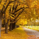 목동서로6길 이미지