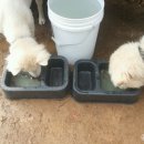 가득농장 이미지