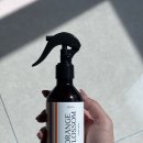 블라썸 크로스핏 | 소터플라이X센틀리에 오렌지블라썸 오프레쉬 후기 🍊