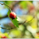 국채보상운동기념공원 이미지