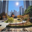 호매실서희부동산공인중개사사무소 이미지