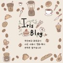 카페바바라발리 네이버블로그
