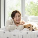 사랑플러스 동물병원 이미지