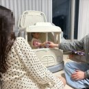 땡글이네 이미지