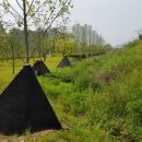 그늘막80 이미지