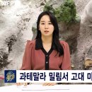 고대1078 이미지