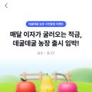 세전농장 네이버블로그