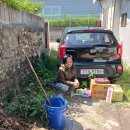 대성이용소 이미지