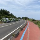 종달리수국길 이미지