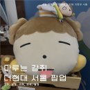 빵마루 - 청송군 | 마루는 강쥐 팝업스토어 '마루의 냠냠 해피바캉스' 더현대서울 일정 예약