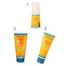 설원태양광 이미지