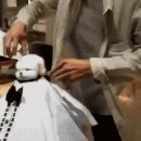 댕댕이 미용실 이미지