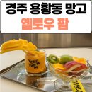 경주팜 | [경주] 용황동 망고주스 찐맛집 ‘옐로우팜’ 과일 카페 가보자
