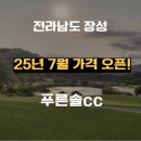 늘푸른투어