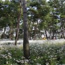 율곡수목원(1) 이미지