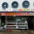 왕돌수산