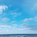 정우농장 2 이미지