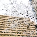 이케부쿠로 이미지