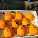 시은농장 이미지